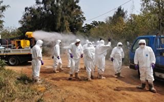 金门现首例H9N2禽流感病毒 预防性扑杀逾4千只鸡