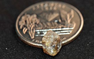 美国男子公园寻宝 喜获3.29克拉褐色钻石