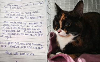 一只被遗弃在收容所的猫和一张充满悲情的纸条