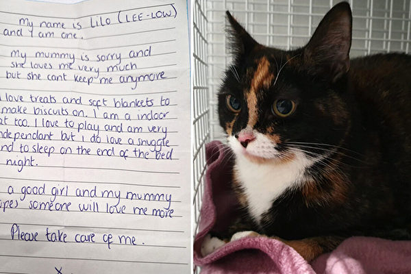 一隻被遺棄在收容所的貓和一張充滿悲情的紙條