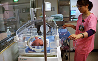台生育率低 婴儿遗传病致死亡率超越日韩
