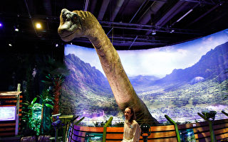 组图：德国科隆举行“侏罗纪世界”恐龙展