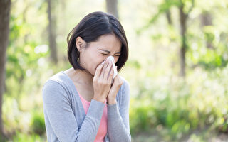 花粉季延长 缓解过敏性鼻炎 中医教你绝招