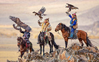 组图：蒙古驯鹰猎人与猛禽之间的珍贵情谊