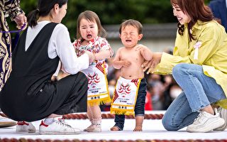 先哭先赢 日本婴儿“哭泣相扑”比赛登场