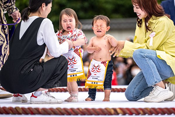 先哭先赢 日本婴儿“哭泣相扑”比赛登场
