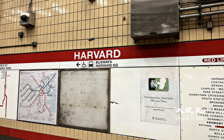 红线地铁哈佛站 废弃设备砸落伤人