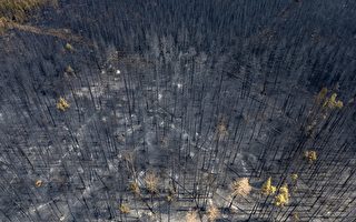 加拿大野火蔓延数十万公顷 油价上涨