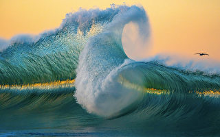 组图：艺术摄影师拍摄巨浪 展示海洋力量