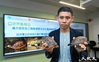 香港三種淡水龜瀕臨絕跡
