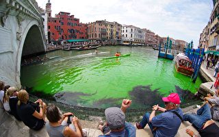 威尼斯大运河变诡异萤光绿色 原因曝光