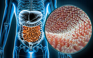 腸道中存在神奇菌群 養好它可抗癌、護心血管