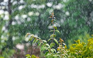 台灣古典詩：西北雨