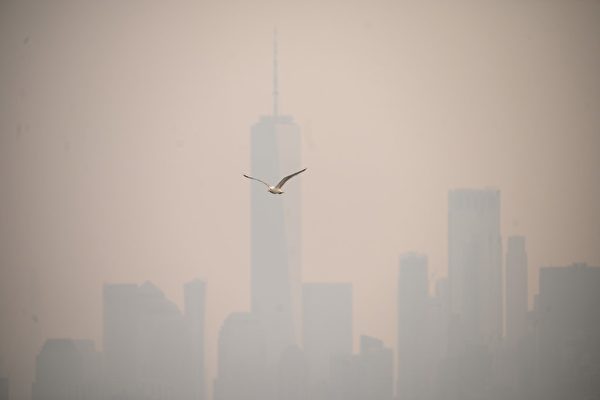 纽约等大城市烟尘漫天 美发布空气质量警报