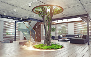 Eco Design Of The Modern Interior Real Living Tree Indoor