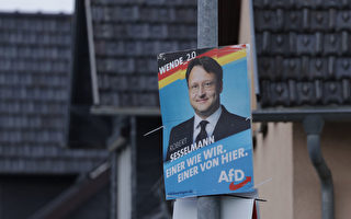 德国地方选举结果惊人 右翼党崛起震动政坛