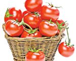 紅番茄超營養 能養心抗癌提升免疫力