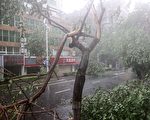受颱風杜蘇芮影響 北京撤離逾3千人