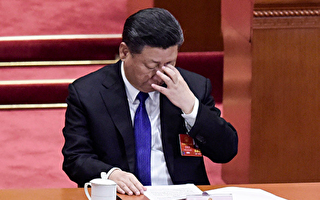 中国经济陷困境 前中共政协委员不点名批习