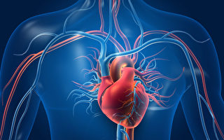 心臟決定長壽 這樣測心臟年齡 7方法讓它變年輕
