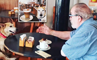 组图：咖啡馆救助的弃狗 成老年顾客的好陪伴