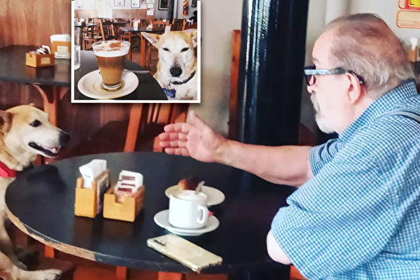 组图：咖啡馆救助的弃狗 成老年顾客的好陪伴