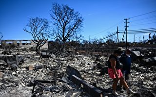 毛伊岛野火死亡人数上升 居民返回破碎家园