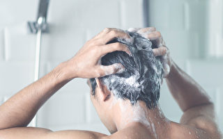 多久洗一次头发最健康？专家告诉你