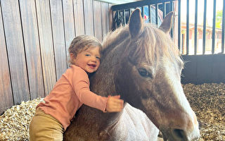 温馨视频 2岁童站梯子上给心爱的马洗澡