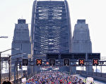 组图：2023年悉尼马拉松赛 历届规模最大