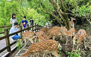 寿山动物园第100万名游客 10月初诞生