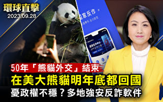 【環球直擊】「熊貓外交」結束 旅美熊貓明年底全回國