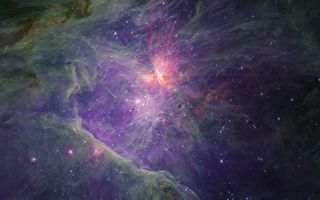 獵戶座星雲中發現數十個神祕二元天體