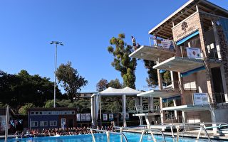 橙县监事市长挑战10米跳水 与奥运选手同秀