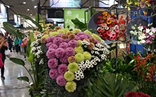 台灣花卉品種推介會 展出逾1700品種