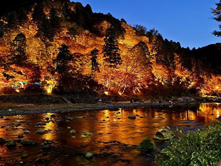 香岚溪约有4000株红叶树一起变成火红的树海。