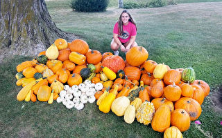 美高中生学种菜 向社区团体捐赠大批农产品