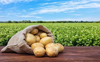 馬鈴薯減肥補脾胃 6道簡單健康料理