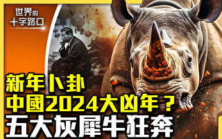 【十字路口】2024大凶年？中國五大灰犀牛狂奔