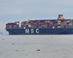 瑞士MSC一艘货船在红海遭胡塞武装袭击