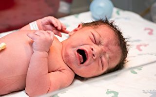 安省新年宝宝诞生：八磅多重女婴