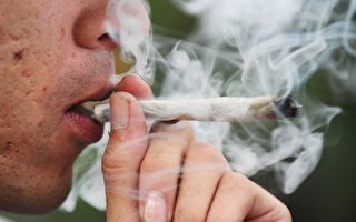 加統計局： 每3個年輕人中有1個以上吸大麻