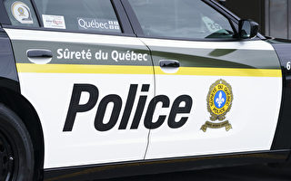 魁省警方在蒙特利尔港口查获53辆被盗车辆