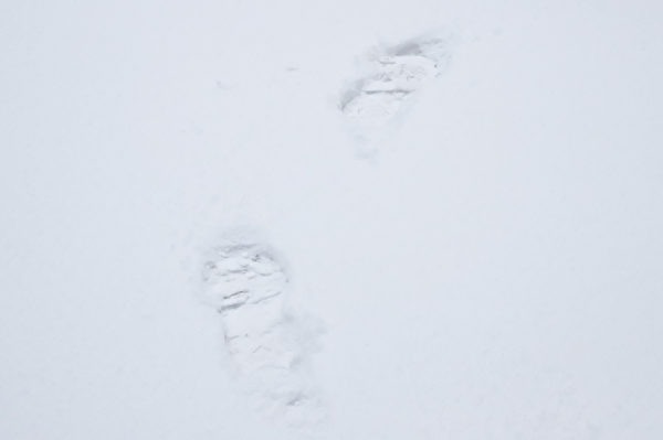 2024年2月19日，辽宁沈阳降雪。（CFOTO/Future Publishing via Getty Images △）