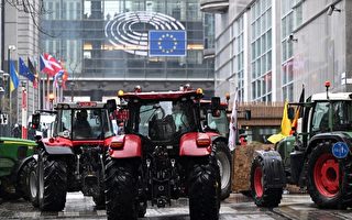 欧洲各地农民抗议价格不公和政府繁文缛节