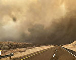 德州史上最大野火 已燒毀一百多萬英畝土地