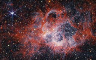 NASA拍到恆星形成區NGC 604星雲圖