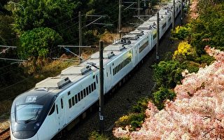 火车与花旗木同框 台摄影师：联想到阿里山美景