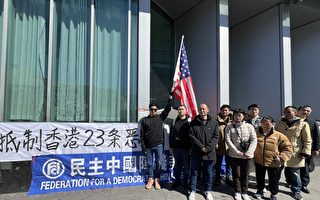 紐約民主人士及走線華人集會 反香港23條
