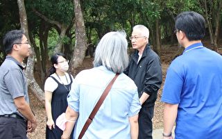 嘉市永续学院探索园区  林相改造移除杨桃树